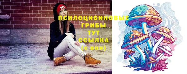 2c-b Арсеньев